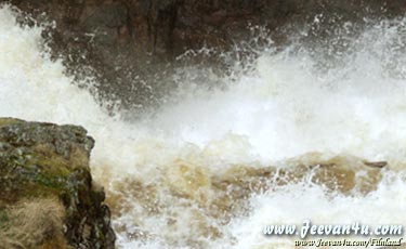 The Rapids at Oulanka