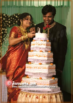 Varghese Sapna Marriage photos