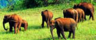 Adventure Tour Packages Booking Kerala India