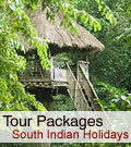 Holidays Tour Packages