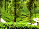 Holiday 07 Nights + 08 Days Cochin – Munnar - Thekkady - Kumarakom - Houseboat – Aleppey - Kovalam - Kanyakumari - Trivandrum Tour Package