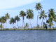 Holiday 02 Nights + 03 Days Cochin Kumarakom Aleppey Cochin Tour Package